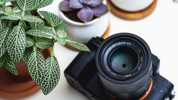 Megan's List of Photography Must-Haves